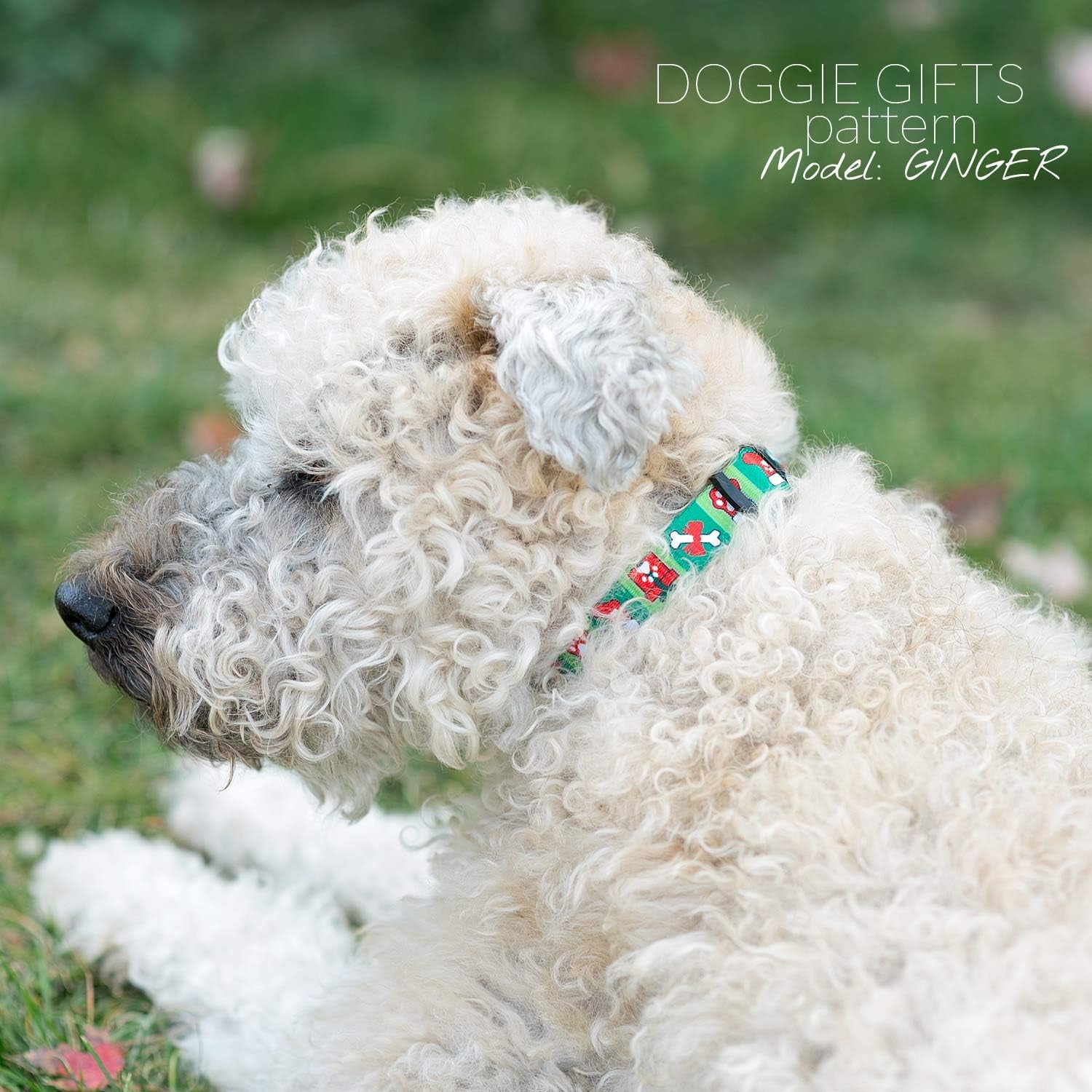 Christmas Collar (Doggie Gifts, Medium)