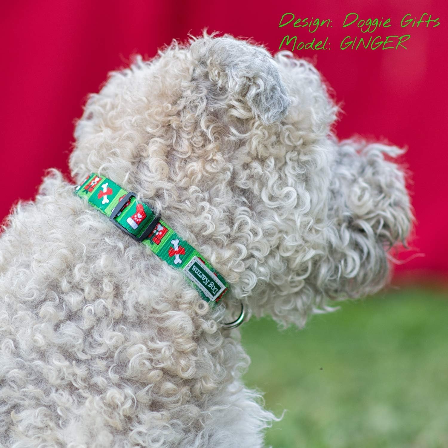 Christmas Collar (Doggie Gifts, Medium)